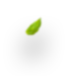 h4_leaf-2 - Muktha Ayurveda